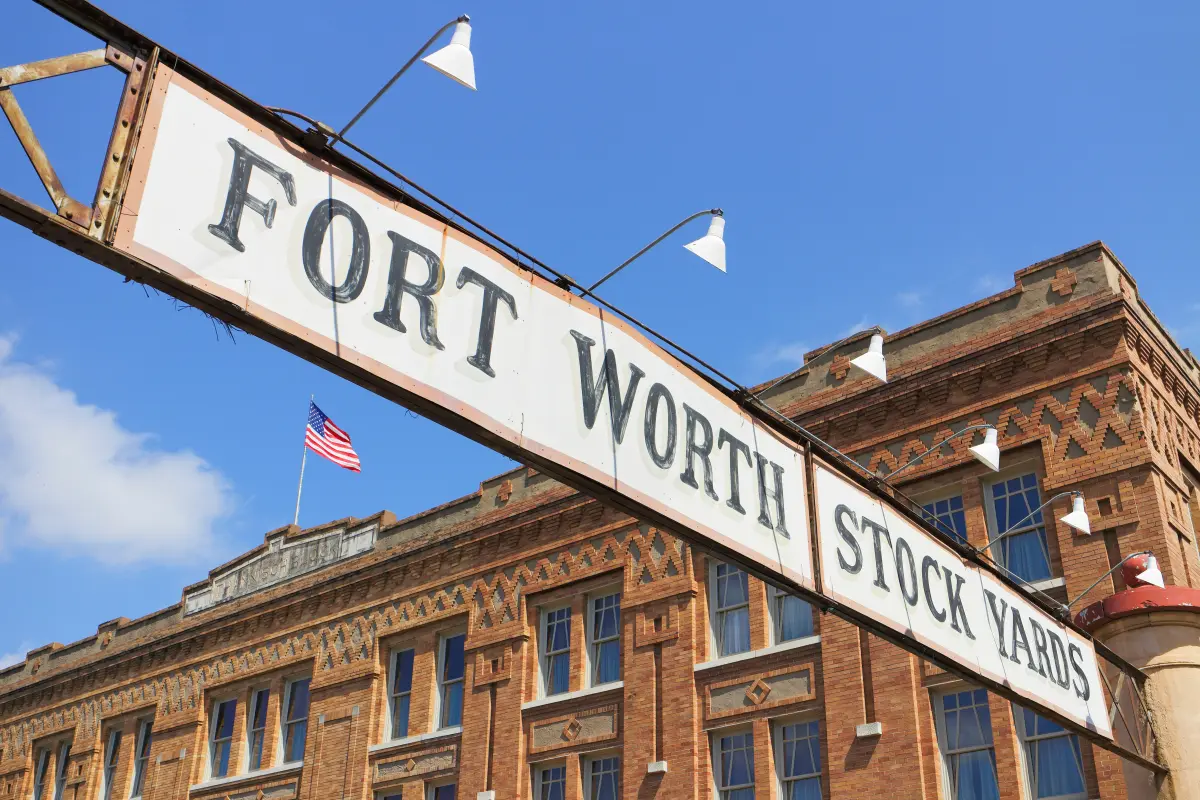 Cattle drive through the Fort Worth Stockyards
